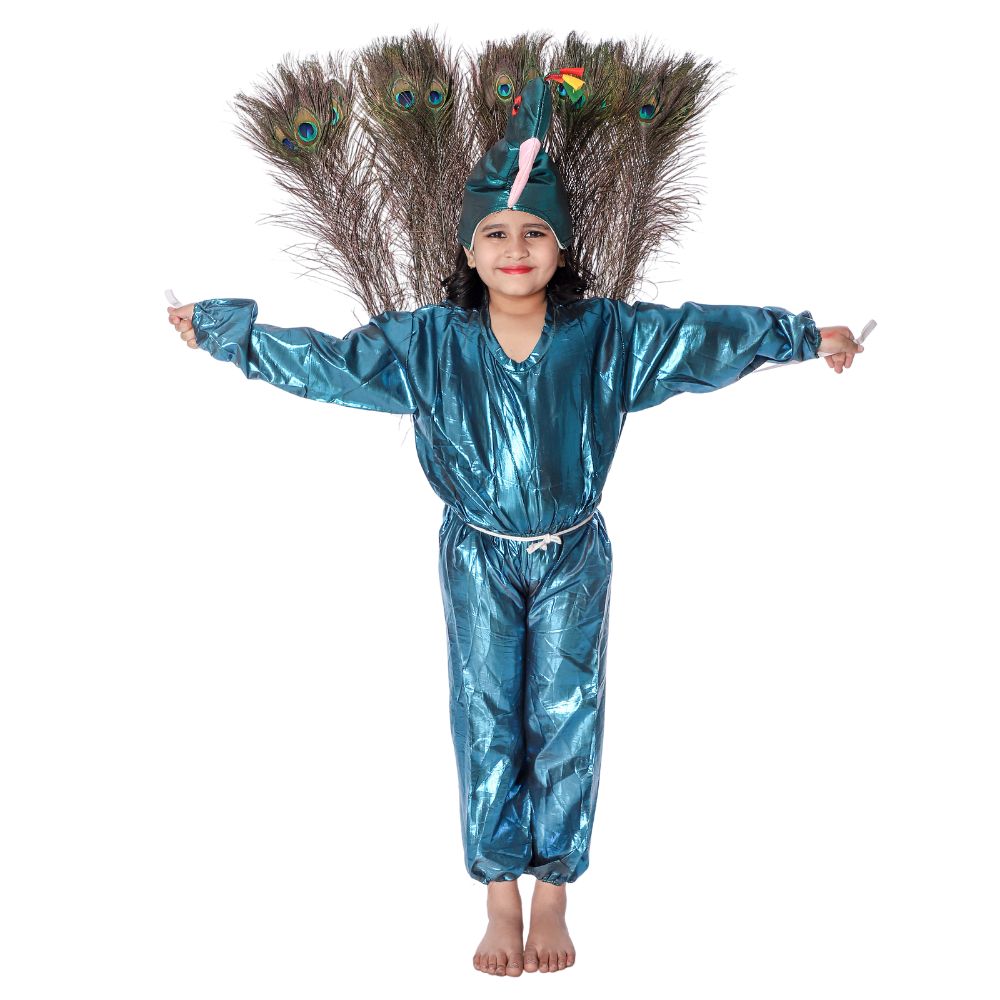 Fancy Dress Costumes 2025