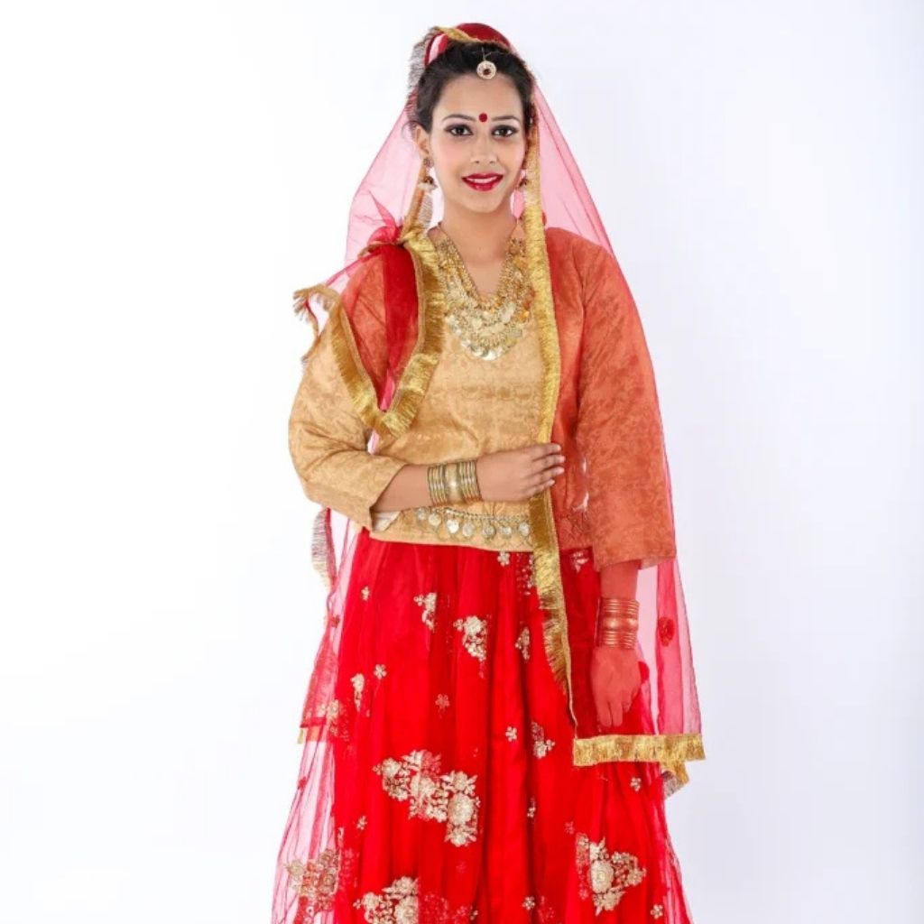 Lehenga Costume 2025